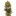 Fruity Glue Regular Cannabis Seeds