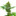 Pine Autoflower Cannabis Seeds