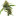 CBD White Widow Autoflower Cannabis Seeds