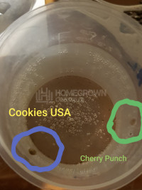 Cookies USA