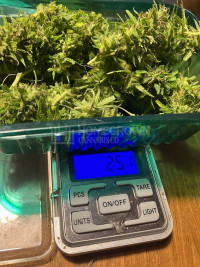 RedEyes3 PowerSkunk