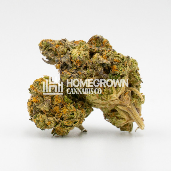 Big Blue Auto Cannabis Seeds Strain info Homegrown Diaries