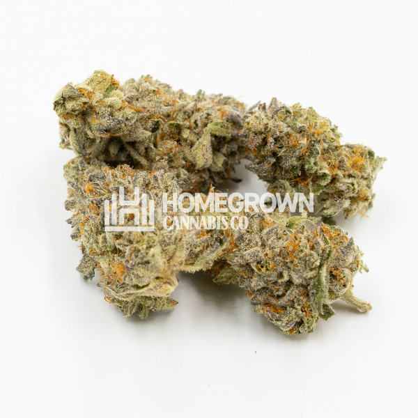 Blueberry Badazz OG Feminized Cannabis Seeds Strain info Homegrown