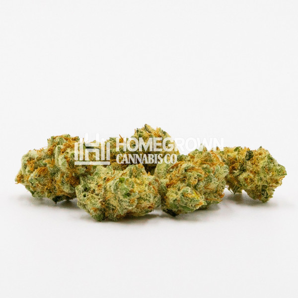 Bubblegum Haze Feminized Cannabis Seeds Strain info Homegrown Diaries