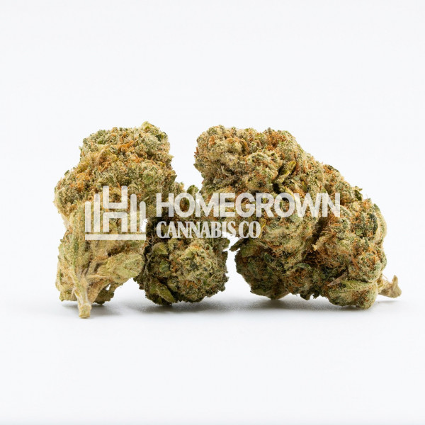 Kandy Kush Feminized Strain info Homegrown Diaries