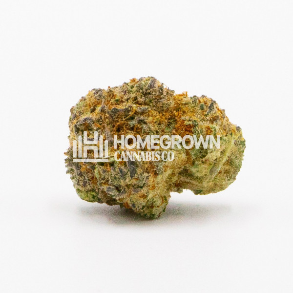 Grapefruit Autoflower Cannabis Seeds Strain info Homegrown Diaries