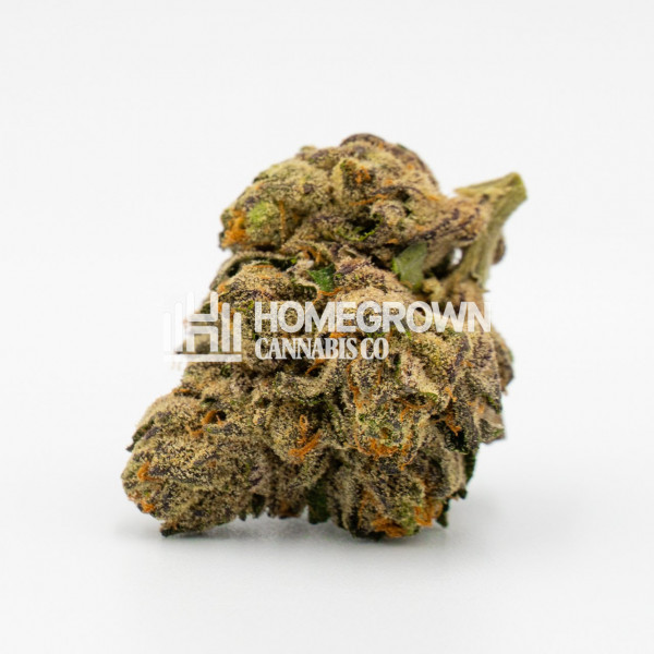 Blackberry Autoflower Cannabis Seeds Strain info Homegrown Diaries