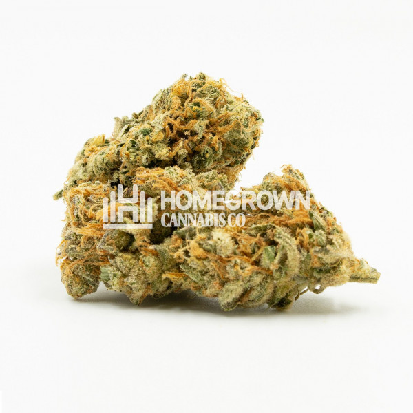 Gangster Sourz Feminized Cannabis Seeds Strain info Homegrown Diaries