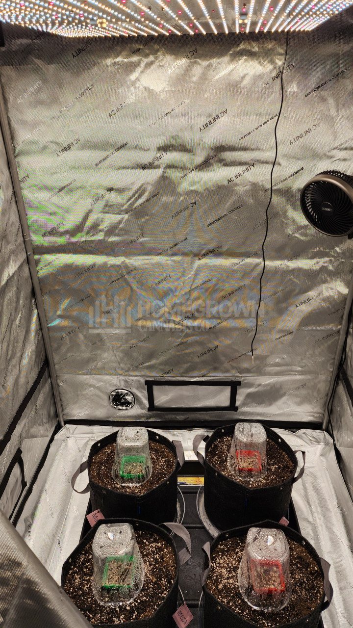 FoxFarm Light Warrior Seed Starter Mix – 1 Cu Ft